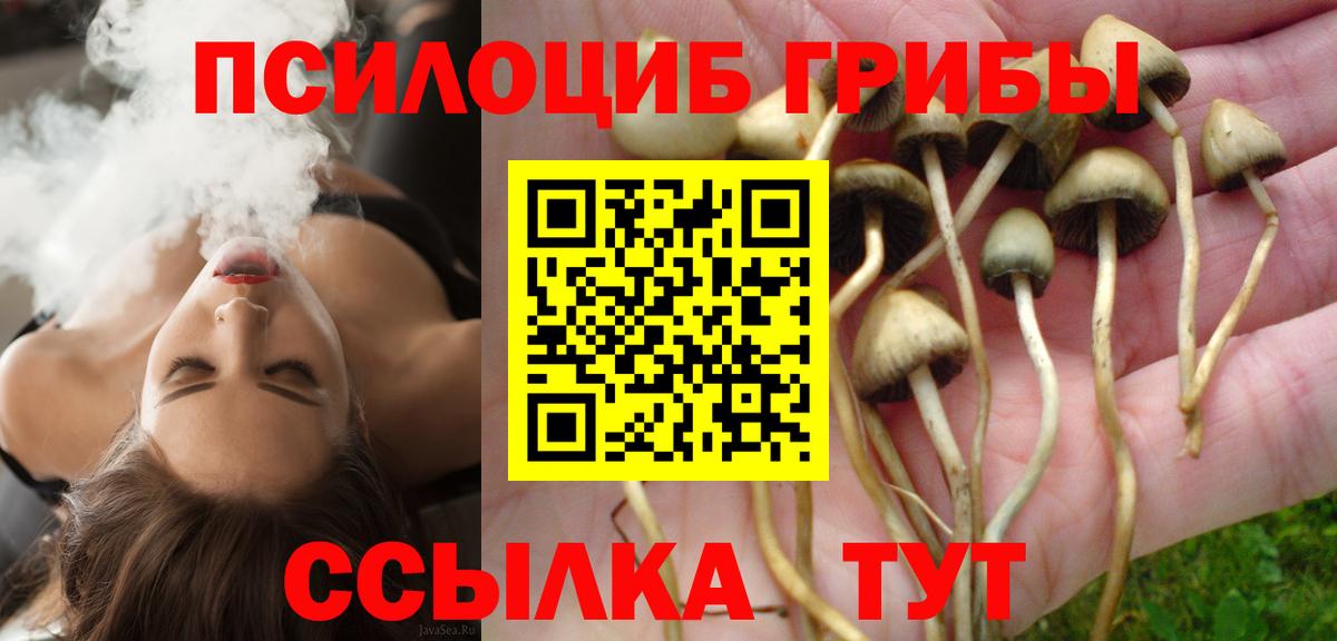 Киреевск  Псилоцибиновые грибы мухоморы  Галлюциногенные грибы Psilocybe  Вход с VPN 